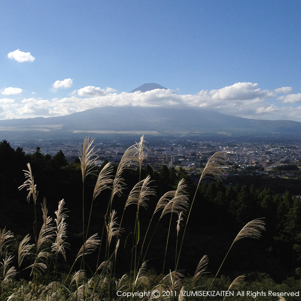 http://izumi-stone.jp/ichigon/fujisusuki.jpg