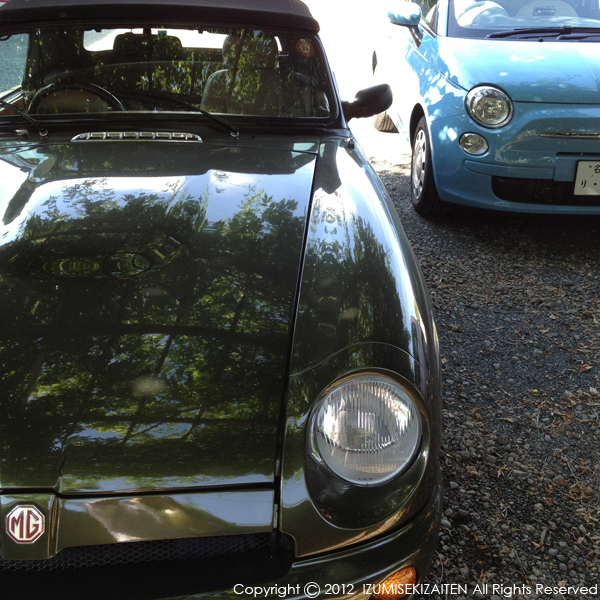 http://izumi-stone.jp/ichigon/item_images/MG-RV8%20500.jpg