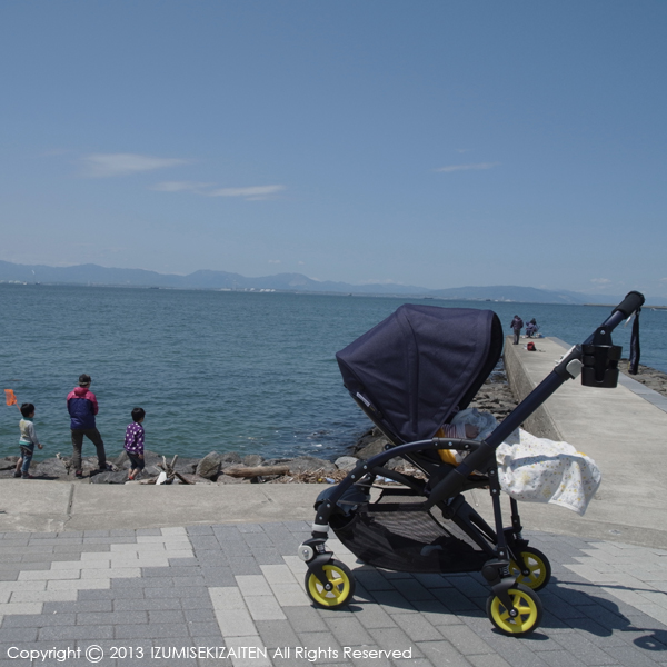 http://izumi-stone.jp/ichigon/item_images/bugaboo16.JPG