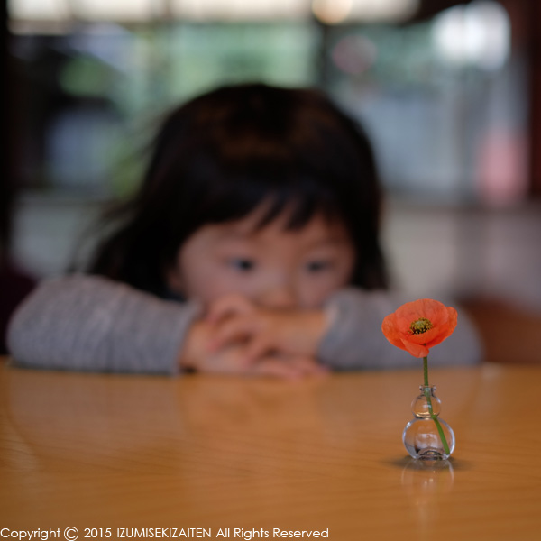 http://izumi-stone.jp/ichigon/item_images/hana1504.JPG