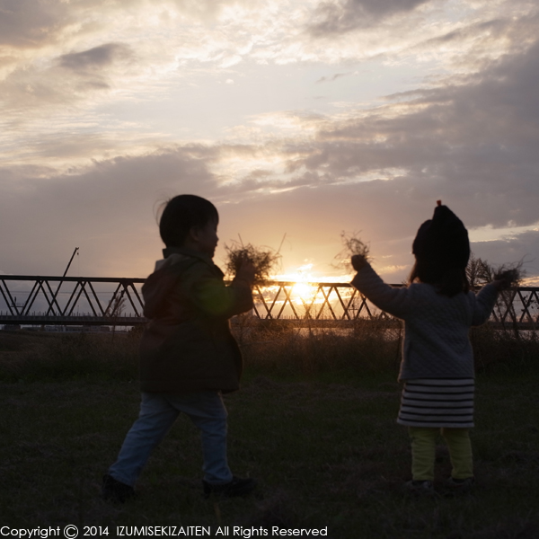 http://izumi-stone.jp/ichigon/item_images/kogawa2.JPG