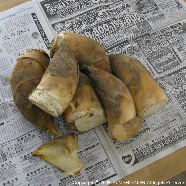 http://izumi-stone.jp/ichigon/item_images/takenoko.JPG
