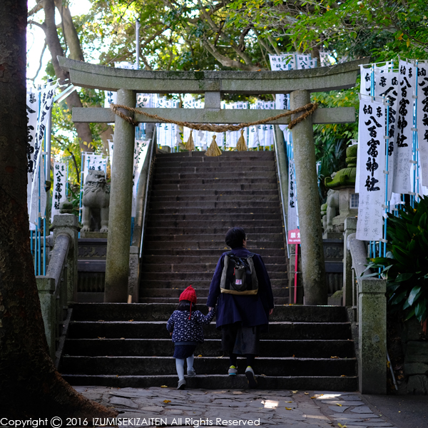http://izumi-stone.jp/ichigon/item_images/takeshima7.JPG