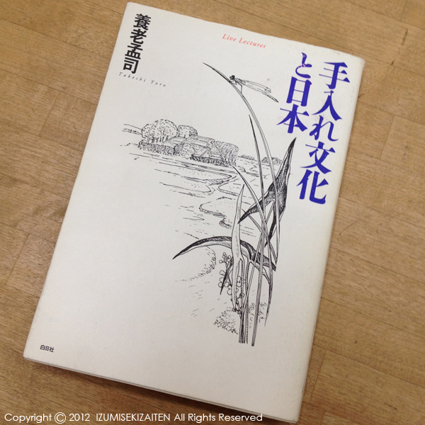 http://izumi-stone.jp/ichigon/item_images/teire.jpg