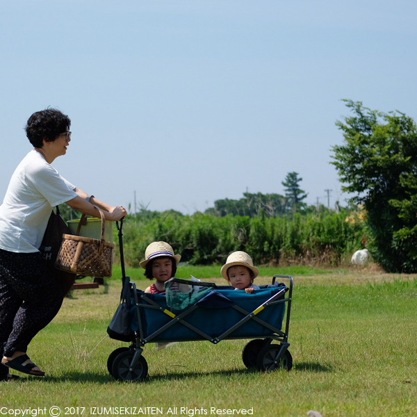 http://izumi-stone.jp/ichigon/item_images/umiasobi1701.JPG