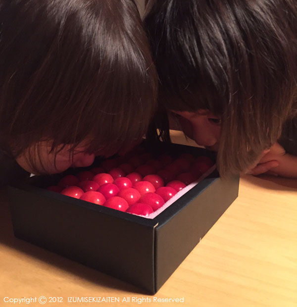 http://izumi-stone.jp/ichigon/kikiwi.JPG