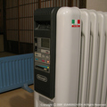 delon.JPG