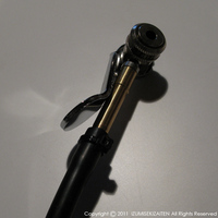 Hirame-001.JPG