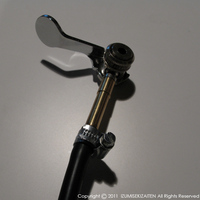 Hirame-002.JPG