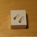 pierced-earrings.JPG