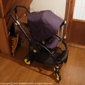 bugaboo.JPG