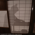 ikuji13.JPG