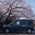 kangoo1404.JPG