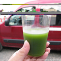 green.JPG