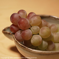 grape14.JPG