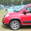 Pandarino15052.JPG