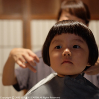 cut08032.JPG