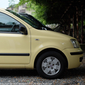 panda199992.JPG