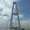 hashi1605.jpg