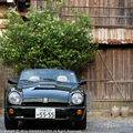 MG-RV8-1606.JPG