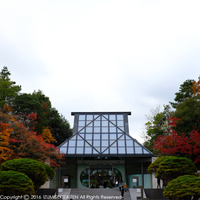 miho16111.JPG