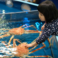 takeshima3.JPG