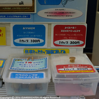 takeshima4.JPG