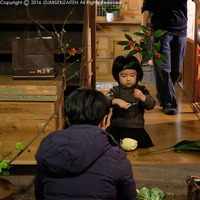 hana16311.jpg