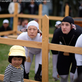 hitsuji1701.JPG