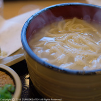 udon1802.jpg