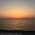 IMG_8464.JPG