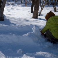 SNOW1901052.jpg