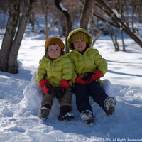 SNOW1901053.jpg