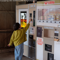 udon212.jpg
