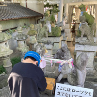 image1.jpeg